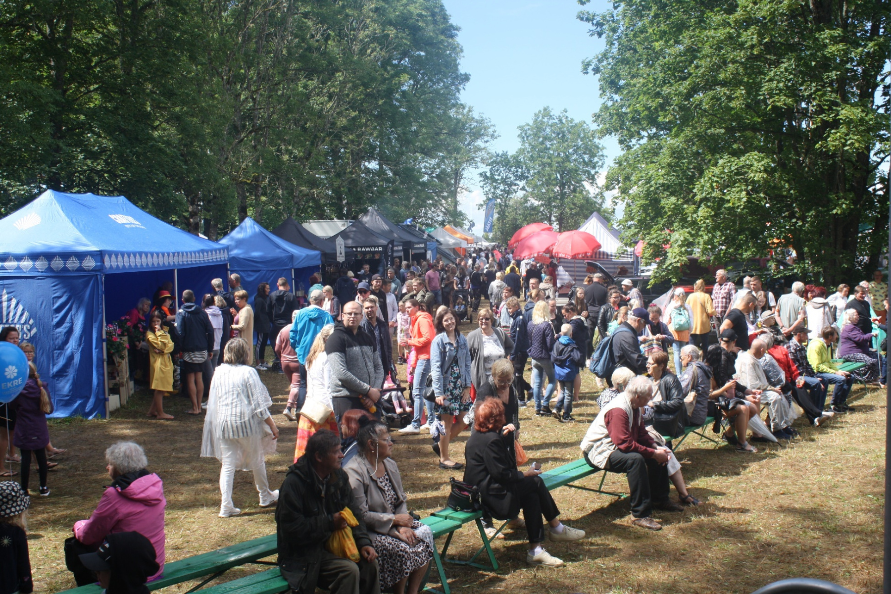 Mihkli laat 2023 Mihkli laat